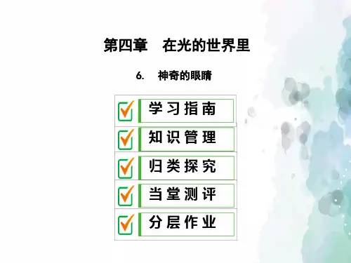 教科版-物理-八年级上册-教科版八上课件：4.6神奇的眼睛
