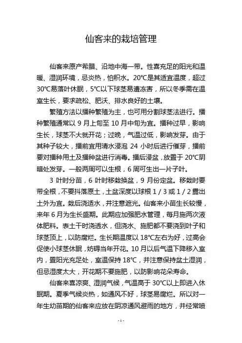 仙客来的栽培管理
