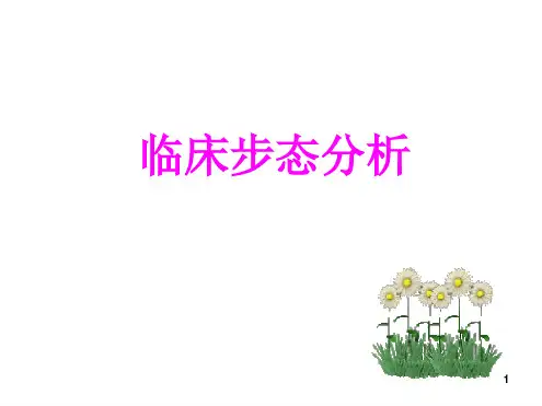 步态分析