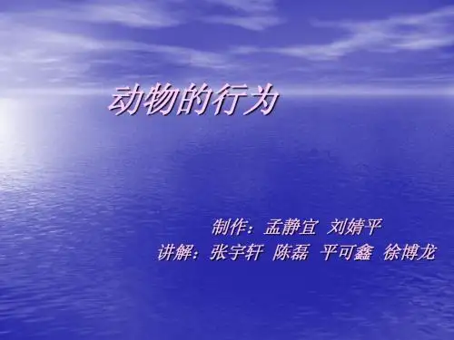 动物的行为