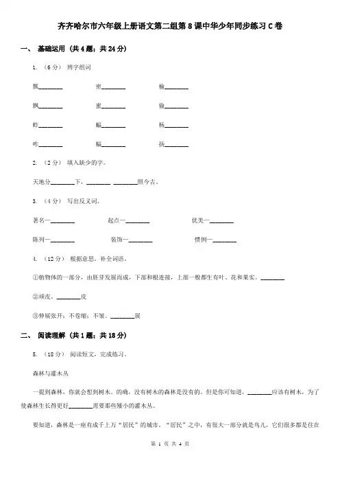 齐齐哈尔市六年级上册语文第二组第8课中华少年同步练习C卷