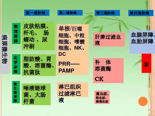 抗感染免疫(共44张PPT)