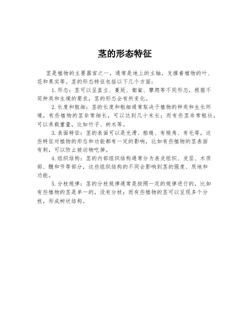 茎的形态特征