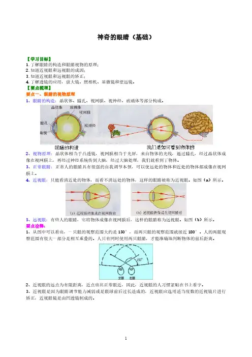 神奇的眼睛 (基础) 知识讲解