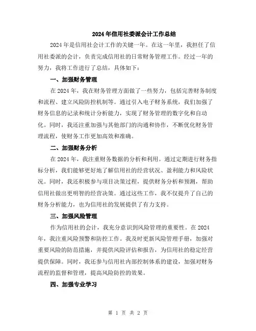 2024年信用社委派会计工作总结