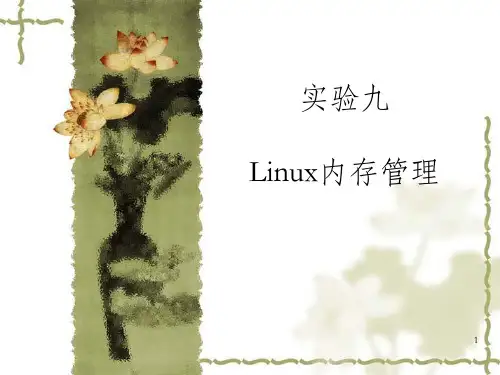 实验九Linux内存