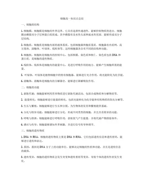细胞高一知识点总结