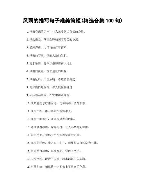 风雨的描写句子唯美简短(精选合集100句)