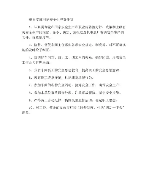 车间支部书记安全生产责任制
