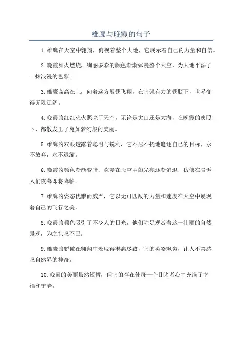 雄鹰与晚霞的句子