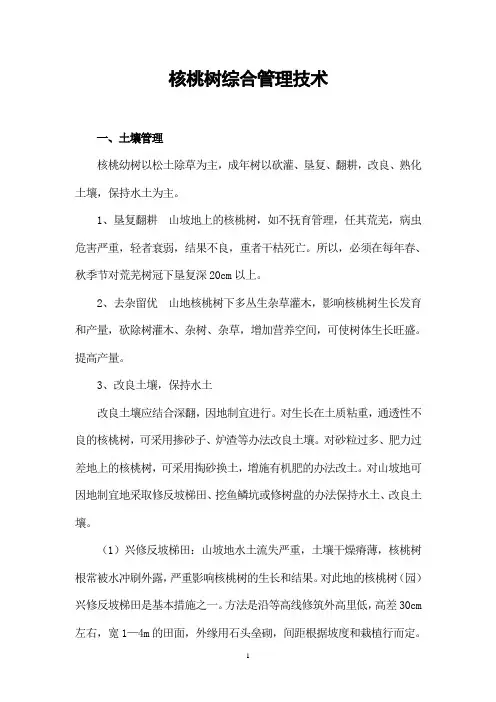 核桃树综合科管技术