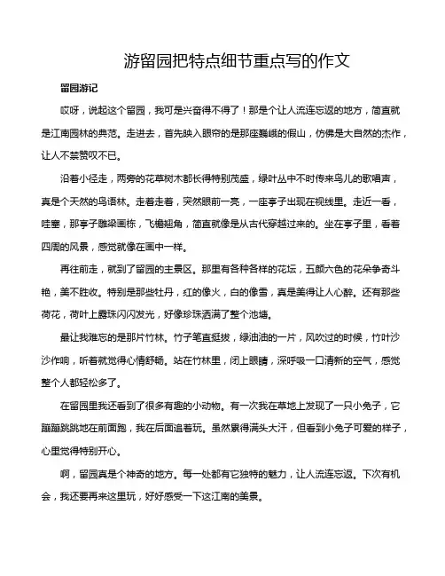 游留园把特点细节重点写的作文