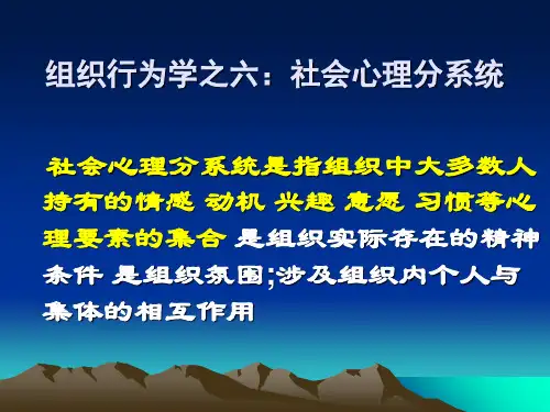 组织行为学之六社会心理分系统