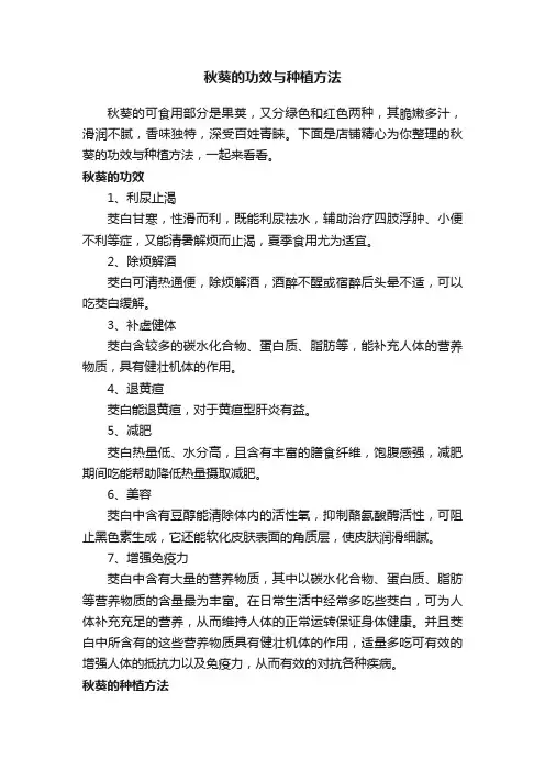 秋葵的功效与种植方法
