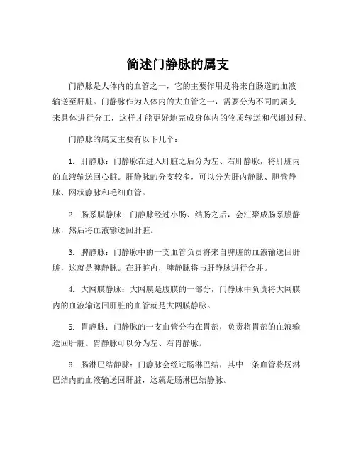 简述门静脉的属支