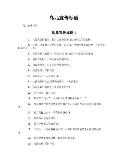 鸟儿宣传标语