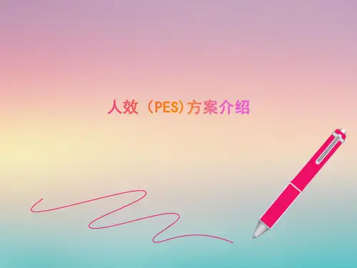 人效(PES)方案介绍-.pptx