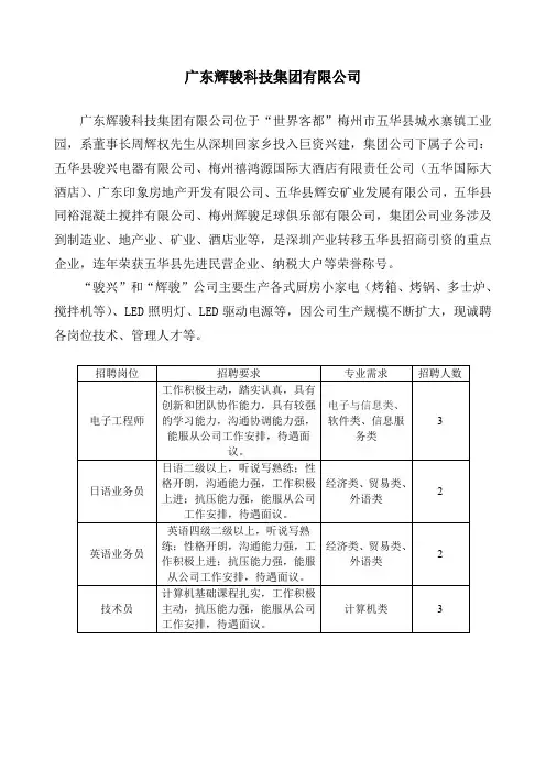 广东辉骏科技集团有限公司