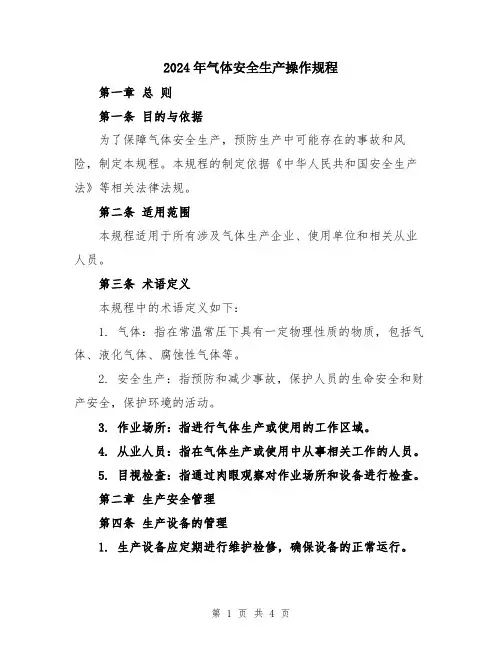 2024年气体安全生产操作规程