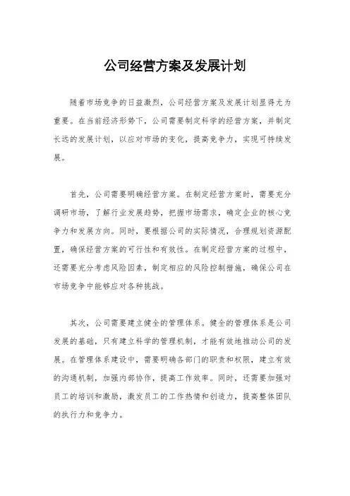公司经营方案及发展计划