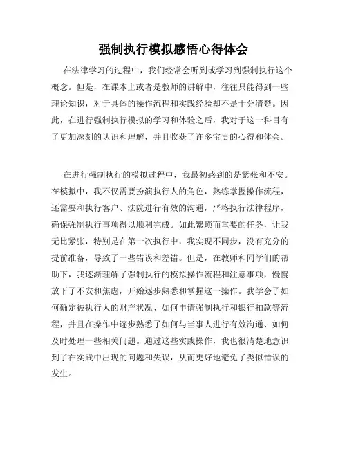 强制执行模拟感悟心得体会