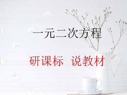 一元二次方程研课标说教材PPT