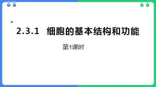 北师大版七年级生物上册《细胞的基本结构和功能》PPT精品课件