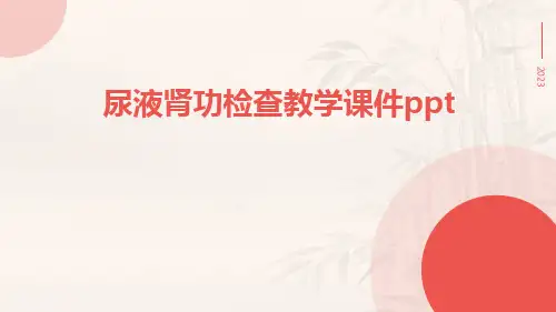 尿液肾功检查教学课件ppt