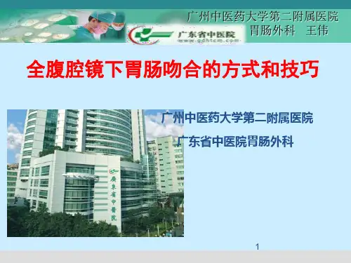 全腹腔镜下胃肠吻合的方式和技巧PPT课件