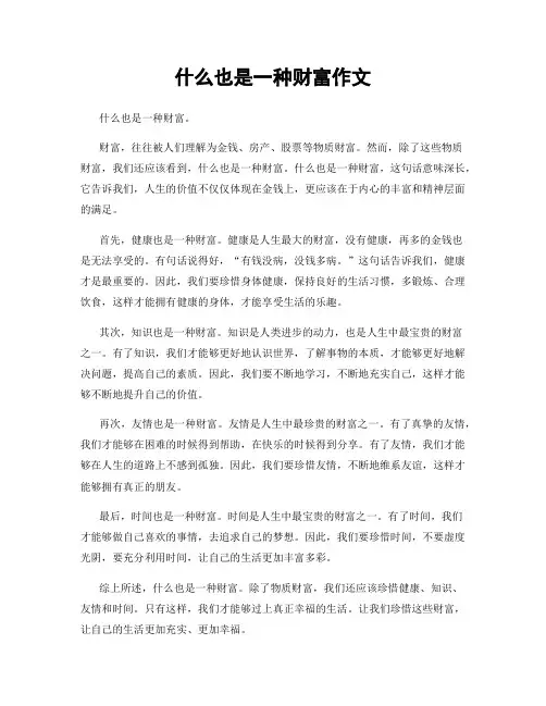 什么也是一种财富作文