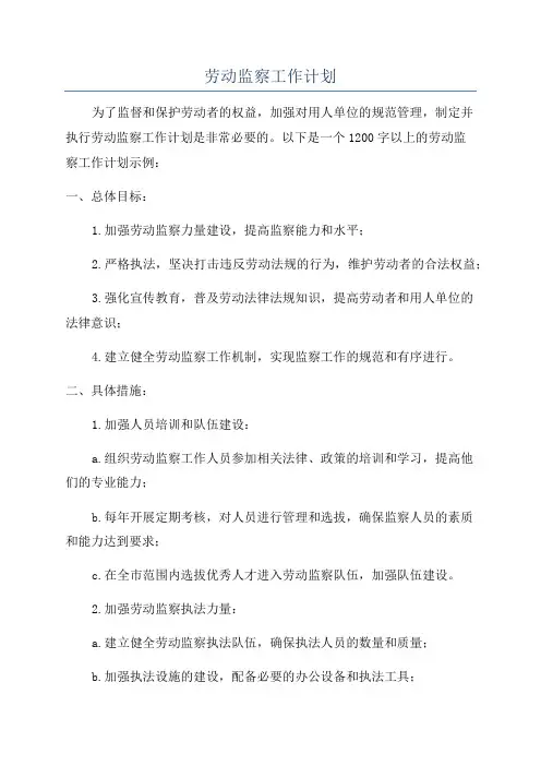 劳动监察工作计划
