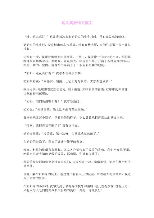 这儿真好作文例文