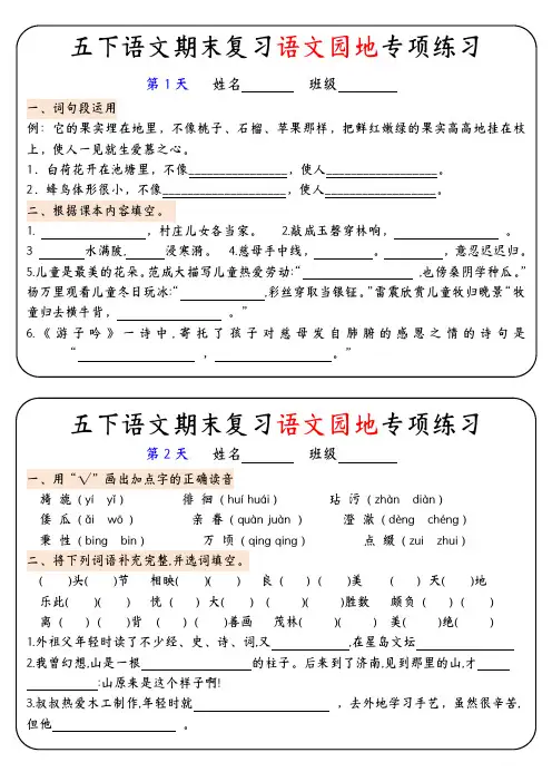 五年级语文下册期末复习语文园地专项练习小纸条