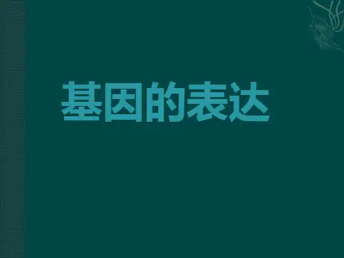 必修2：基因的表达中图版ppt课件