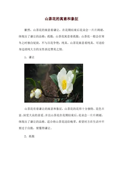 山茶花的寓意和象征
