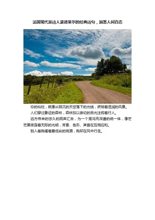法国现代派诗人波德莱尔的经典诗句，洞悉人间百态