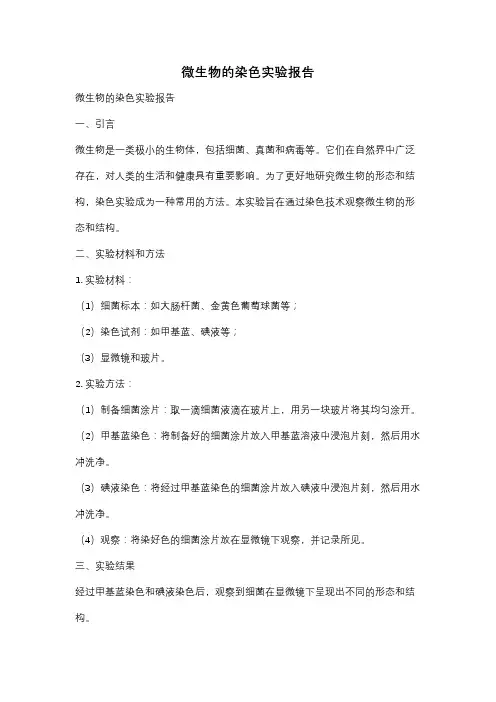 微生物的染色实验报告