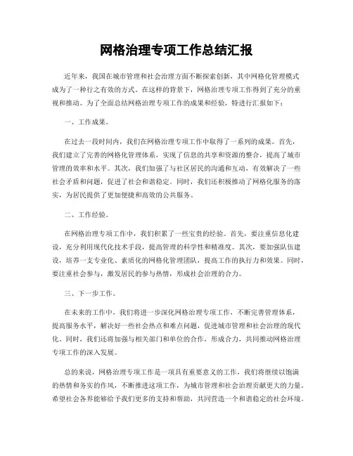 网格治理专项工作总结汇报