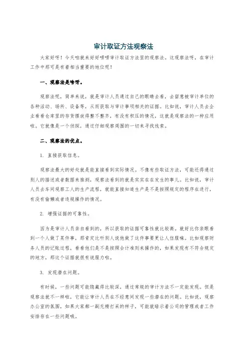 审计取证方法观察法