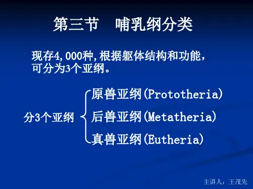 B11.哺乳纲分类_第四版