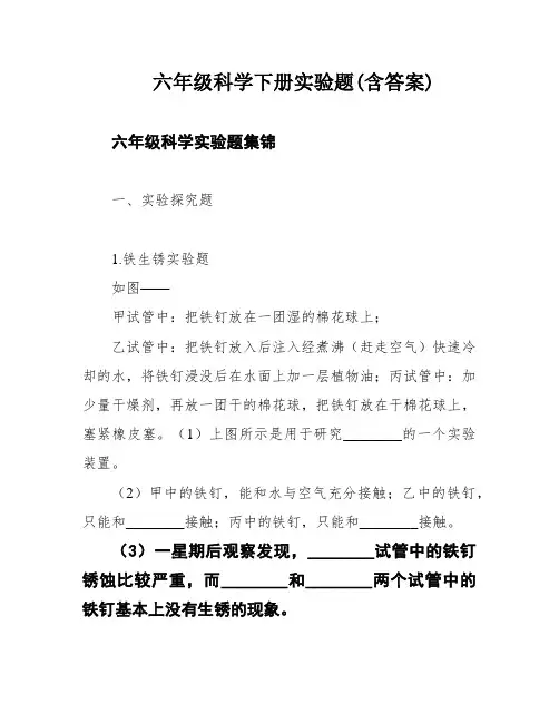 六年级科学下册实验题(含答案)