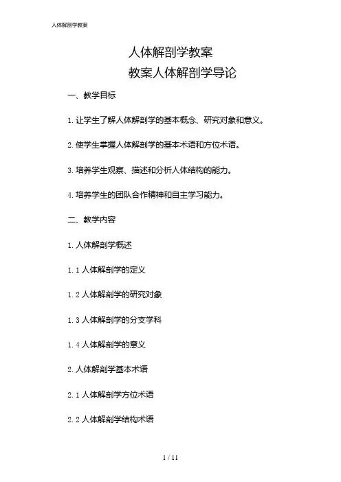 2024年人体解剖学教案