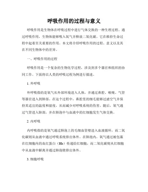 呼吸作用的过程与意义