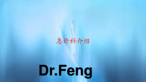 急诊科介绍(PPT课件)