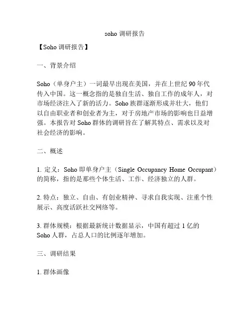 soho 调研报告