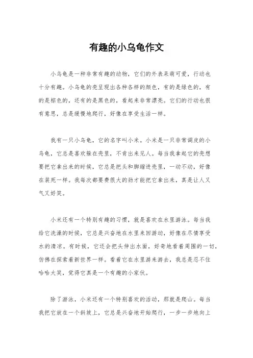 有趣的小乌龟作文