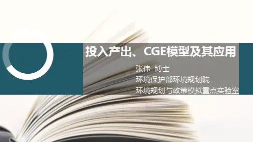 投入产出-CGE模型及其应用