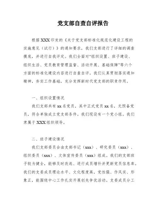 党支部自查自评报告