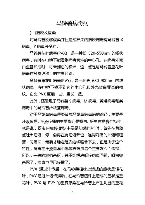 马铃薯病毒病           