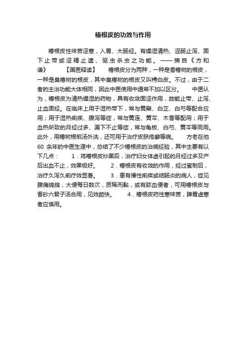 椿根皮的功效与作用